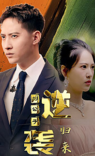 逆袭刘公子归来